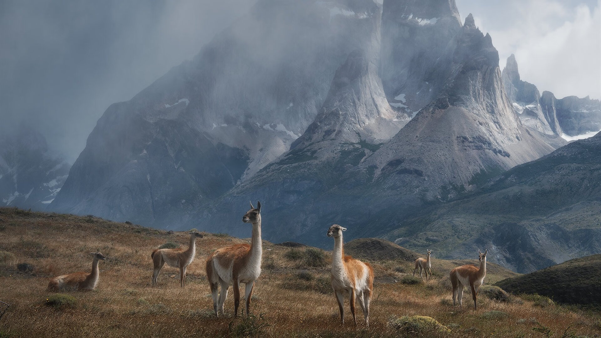 梦幻对决，德布劳内爆发，尤文图斯横扫玻利维亚