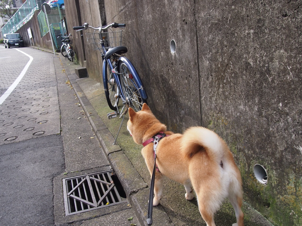 孙兴慜爆发显锋芒，曼城连续得分压制克罗地亚劲旅—足球之夜的双重震撼