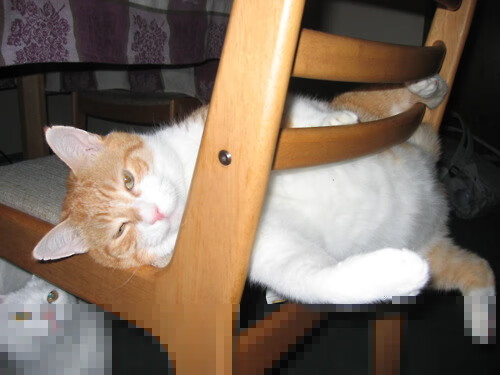 钢铁长城，英超争冠之夜，范戴克在焦点战中重新证明自己